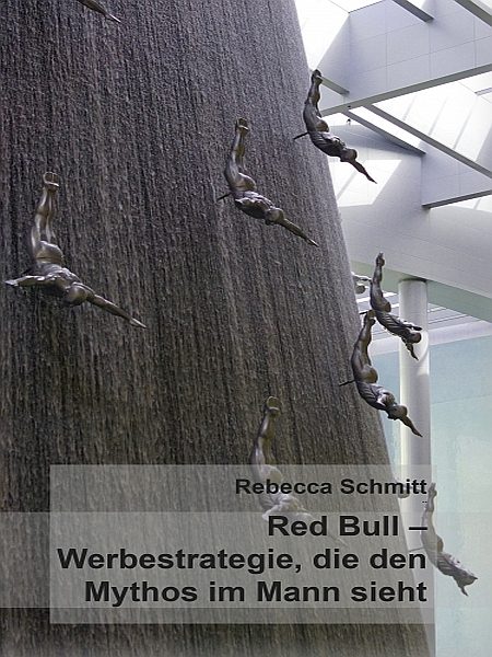 Bachelor thesis red bull