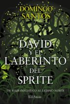 DAVID Y EL LABERINTO DEL SPRITE DAVID Y EL LABERINTO DEL SPRITE
