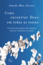 Como encontrar Deus em todas as coisas