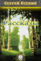 Рассказы