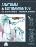 Anatomía & estiramientos.
