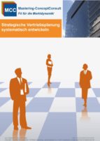 STRATEGISCHE VERTRIEBSPLANUNG SYSTEMATISCH DURCHFÜHREN STRATEGISCHE VERTRIEBSPLANUNG SYSTEMATISCH DURCHFÜHREN