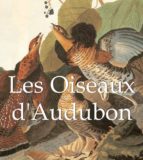 Les Oiseaux d'Audubon