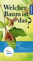 WELCHER BAUM IST DAS? WELCHER BAUM IST DAS?