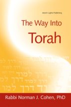THE WAY INTO TORAH THE WAY INTO TORAH