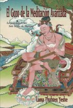 El gozo de la meditación avanzada