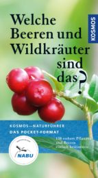 WELCHE BEEREN UND WILDKRÄUTER SIND DAS? WELCHE BEEREN UND WILDKRÄUTER SIND DAS?