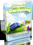 Organic gardening tips