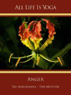 All Life Is Yoga: Anger
