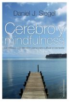 CEREBRO Y MINDFULNESS CEREBRO Y MINDFULNESS