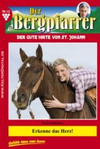 Der Bergpfarrer 15 - Heimatroman