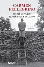 SE MI TORNASSI QUESTA SERA ACCANTO SE MI TORNASSI QUESTA SERA ACCANTO