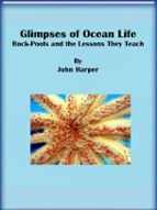 Glimpses of Ocean Life: Rock-Pools and the Lessons They Teach  