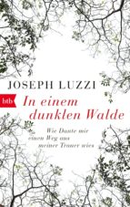 IN EINEM DUNKLEN WALDE IN EINEM DUNKLEN WALDE