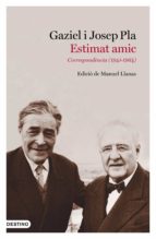 ESTIMAT AMIC ESTIMAT AMIC