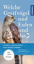 WELCHE EULEN UND GREIFVÖGEL SIND DAS WELCHE EULEN UND GREIFVÖGEL SIND DAS