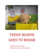 TEDDY RUSPIN GOES TO REHAB TEDDY RUSPIN GOES TO REHAB