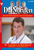 Dr. Norden 1086 - Arztroman
