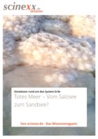 TOTES MEER TOTES MEER