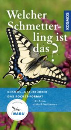 WELCHER SCHMETTERLING IST DAS? WELCHER SCHMETTERLING IST DAS?