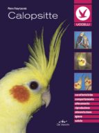 CALOPSITTE CALOPSITTE