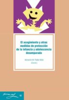 EL ACOGIMIENTO Y OTRAS MEDIDAS DE PROTECCIÓN DE LA INFANCIA Y ADOLESCENCIA DESAMPARADA. EL ACOGIMIENTO Y OTRAS MEDIDAS DE PROTECCIÓN DE LA INFANCIA Y ADOLESCENCIA DESAMPARADA.
