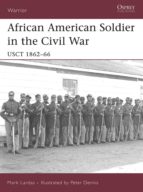 AFRICAN AMERICAN SOLDIER IN THE CIVIL WAR AFRICAN AMERICAN SOLDIER IN THE CIVIL WAR